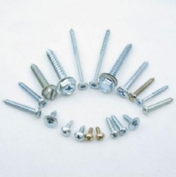 Self Tapping Screw